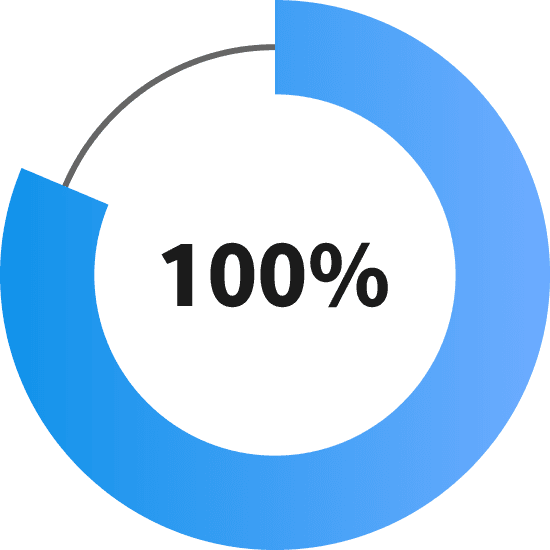 100.png